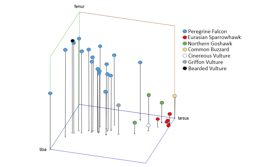 Graph_birdlegs_raptors_vultures_a