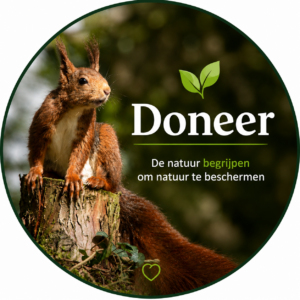 Doneer   |    Donate
